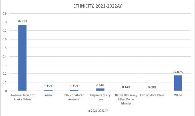 Ethnicity 21-22