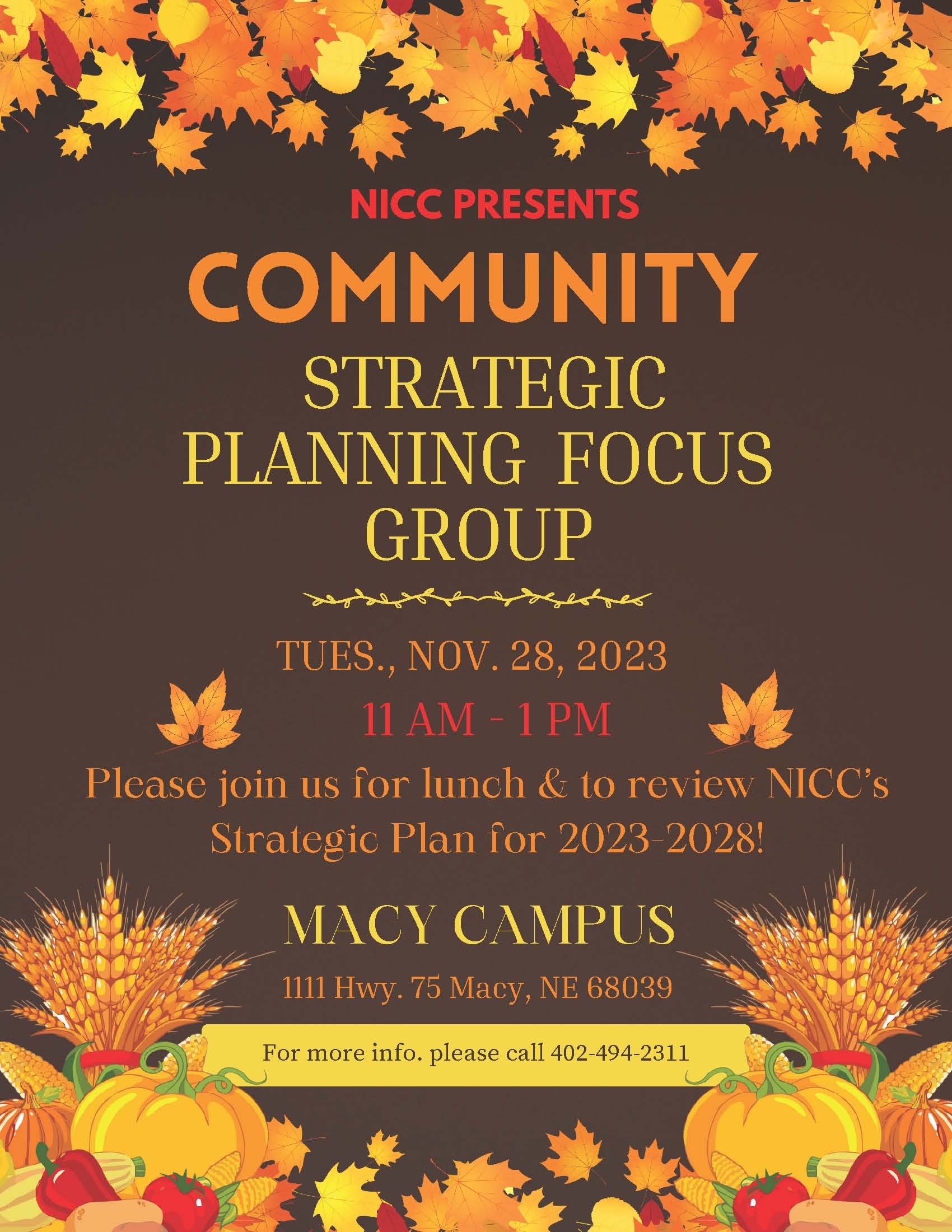 Community Strategic Planning Focus Group - Macy